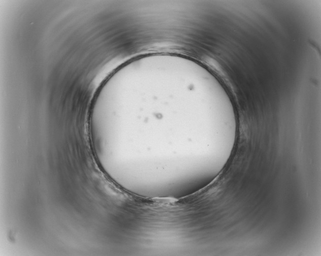 X0000102221336200808151656