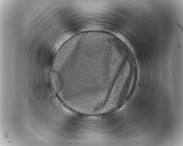 X0000102221337200808151656