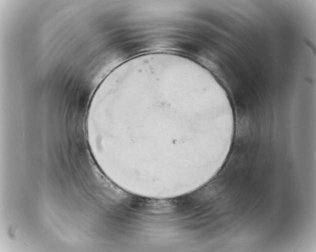 X0000102221338200808151656