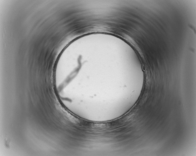 X0000102221339200808151656