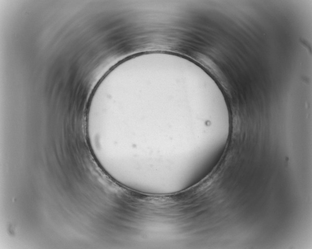 X0000102221340200808151656