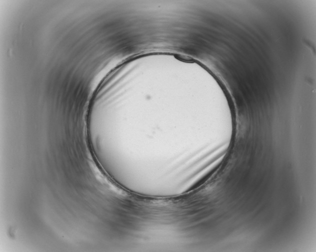 X0000102221341200808151656