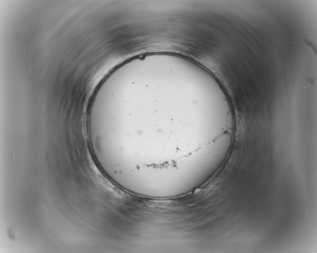 X0000102221342200808151656