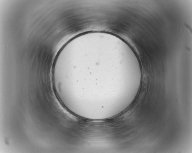 X0000102221343200808151656