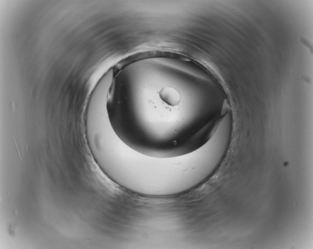 X0000102221344200808151656