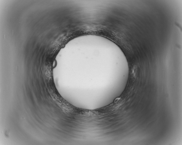 X0000102221348200808151655