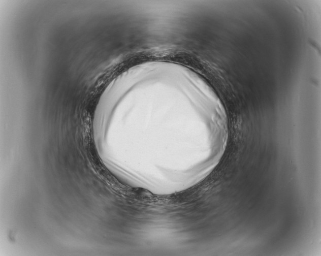 X0000102221349200808151655