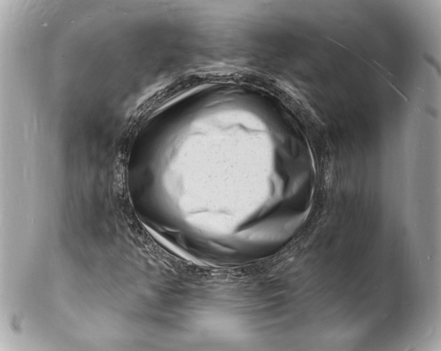 X0000102221350200808151655