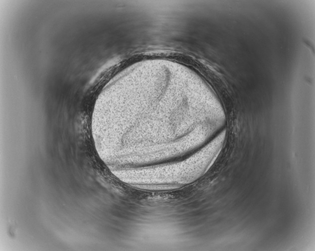 X0000102221351200808151655