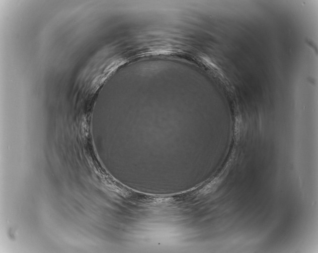 X0000102221353200808151655