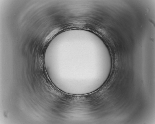 X0000102221354200808151655