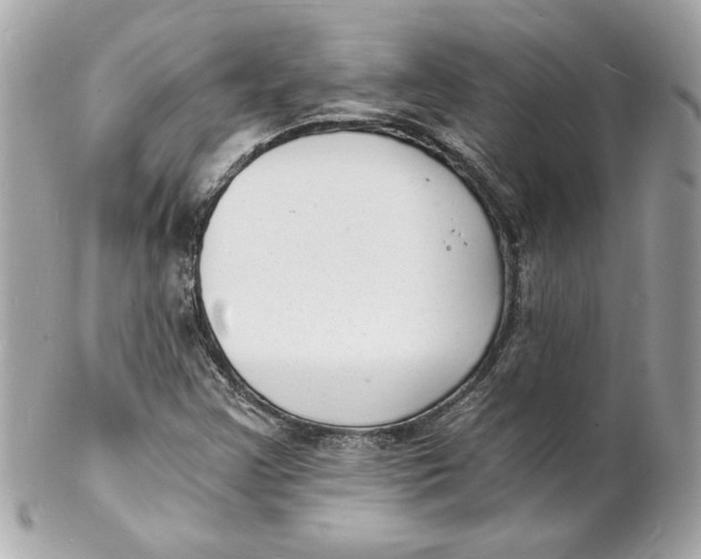 X0000102221355200808151655