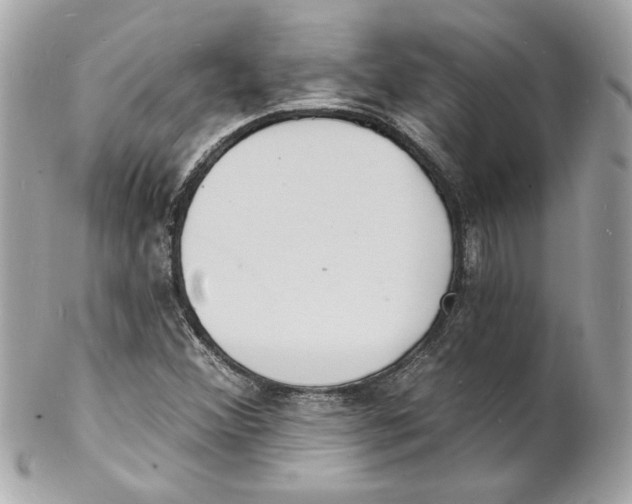 X0000102221356200808151655