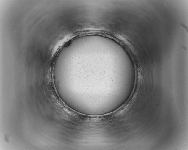 X0000102221357200808151655