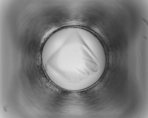 X0000102221358200808151655