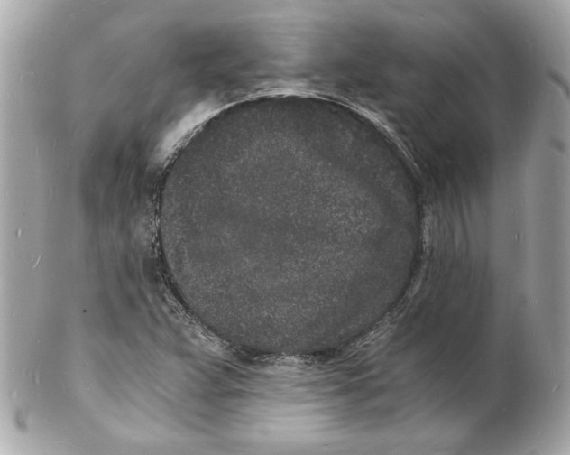 X0000102221359200808151655