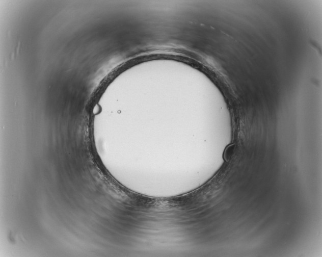 X0000102221360200808151655