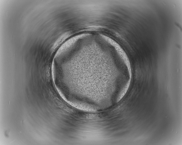 X0000102221362200808151655