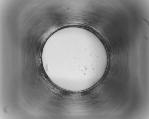 X0000102221363200808151655