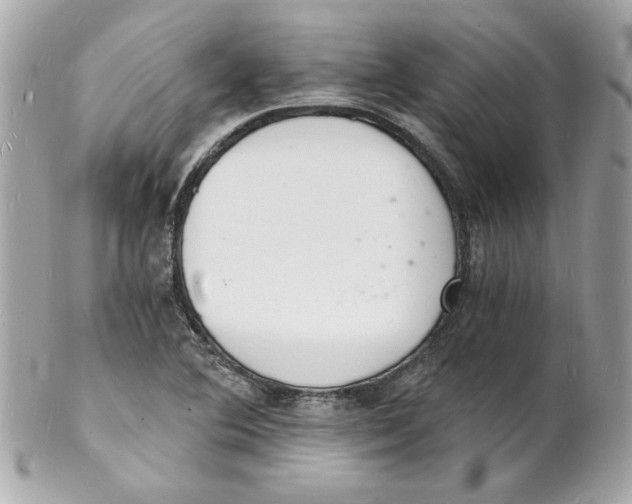 X0000102221364200808151655