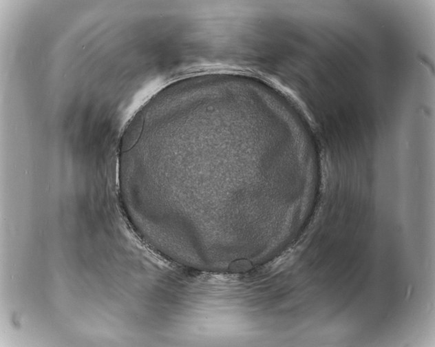 X0000102221365200808151655