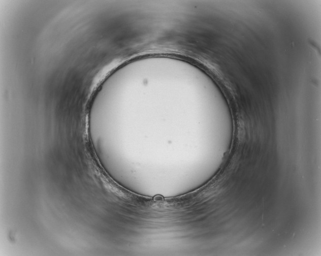 X0000102221366200808151655