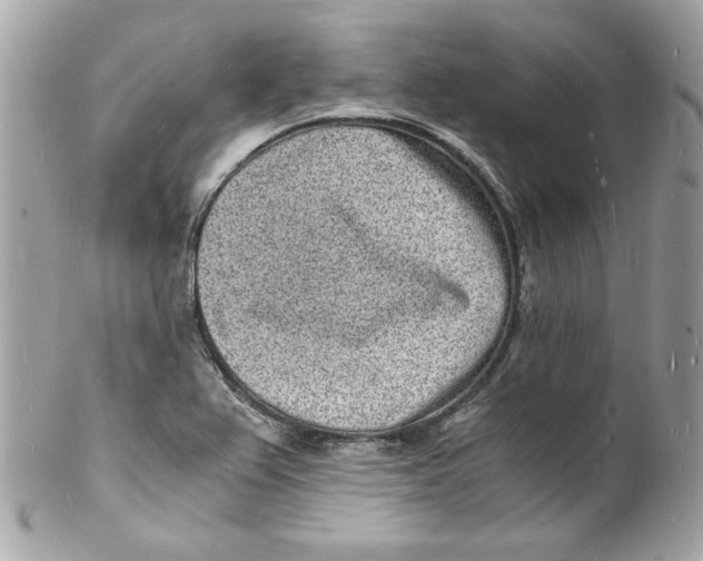 X0000102221367200808151655