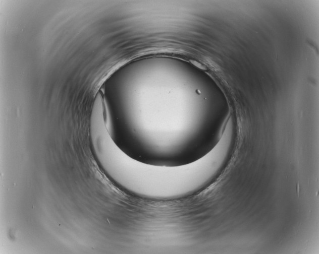 X0000102221369200808151655