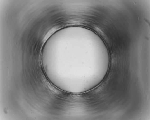 X0000102221370200808151655