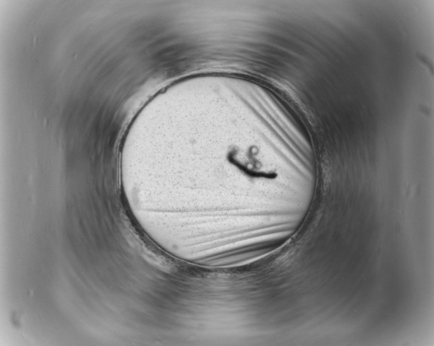 X0000102221371200808151655