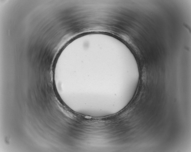 X0000102221372200808151655