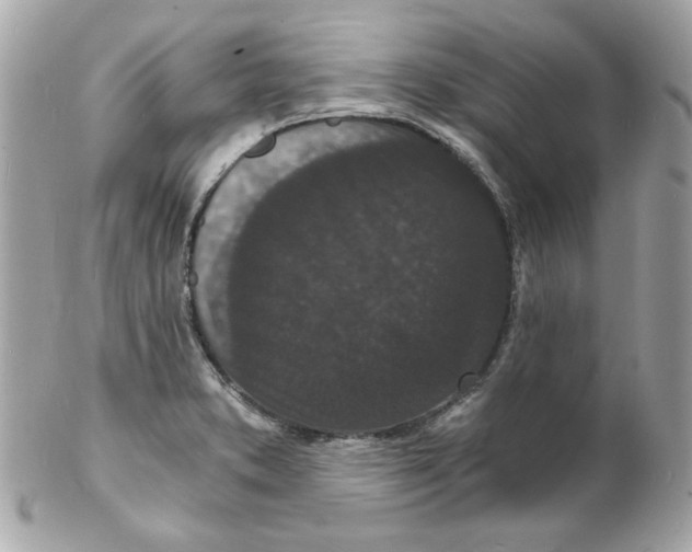 X0000102221373200808151655