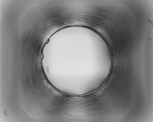 X0000102221374200808151655