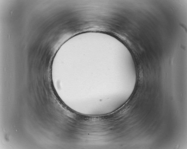 X0000102221375200808151655