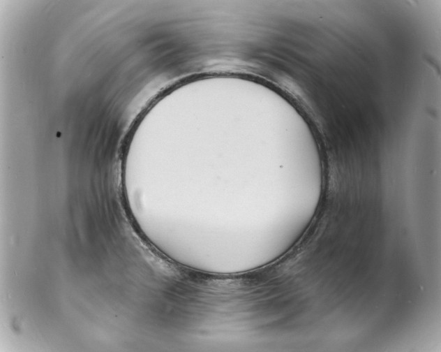 X0000102221376200808151655