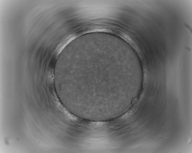 X0000102221377200808151655