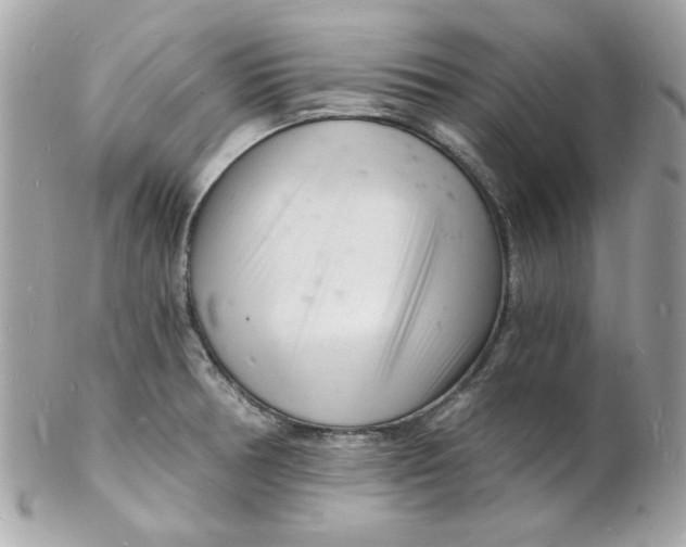 X0000102221378200808151655