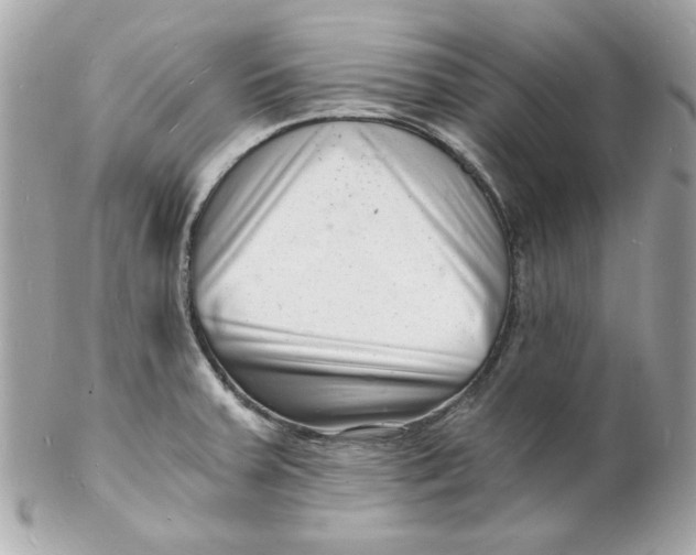 X0000102221379200808151655