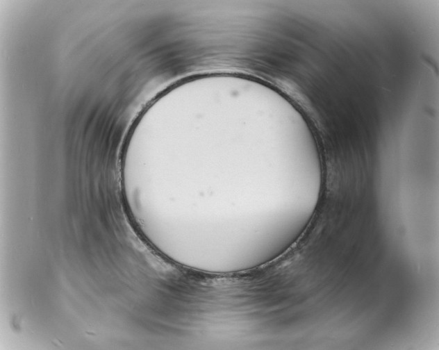 X0000102221380200808151655