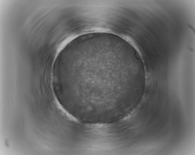 X0000102221381200808151655