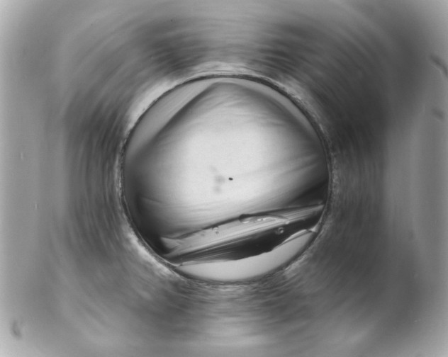 X0000102221382200808151654