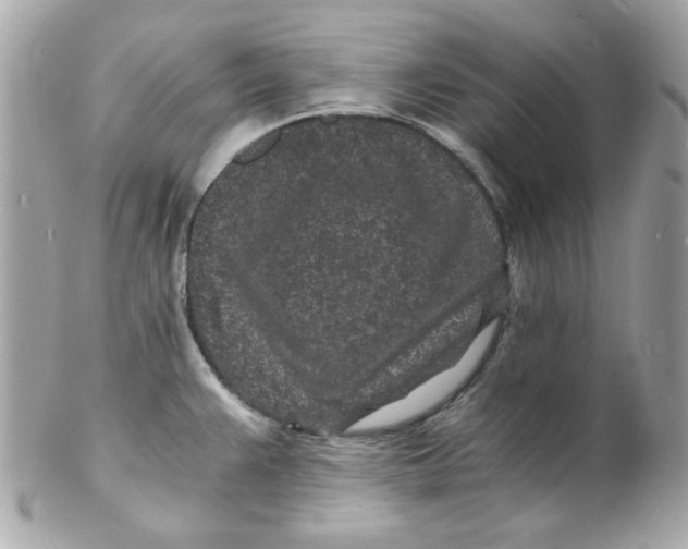 X0000102221383200808151654