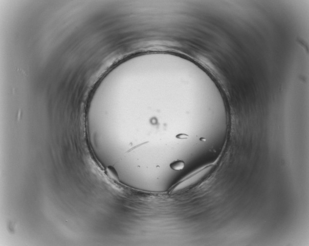 X0000102221384200808151654