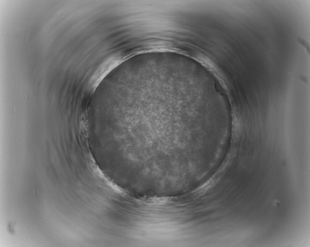 X0000102221385200808151654