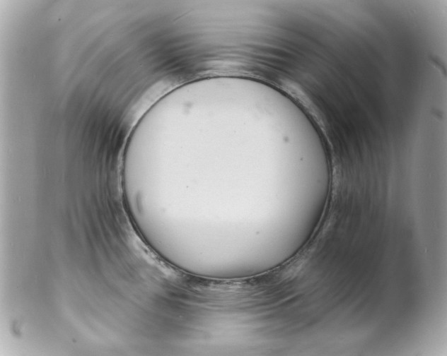 X0000102221386200808151654