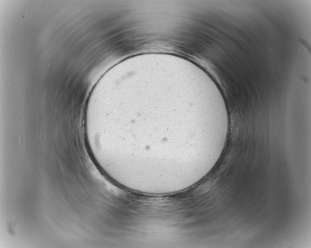 X0000102221387200808151654