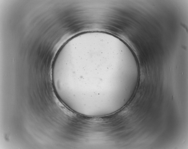 X0000102221388200808151654