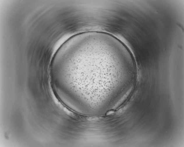 X0000102221389200808151654