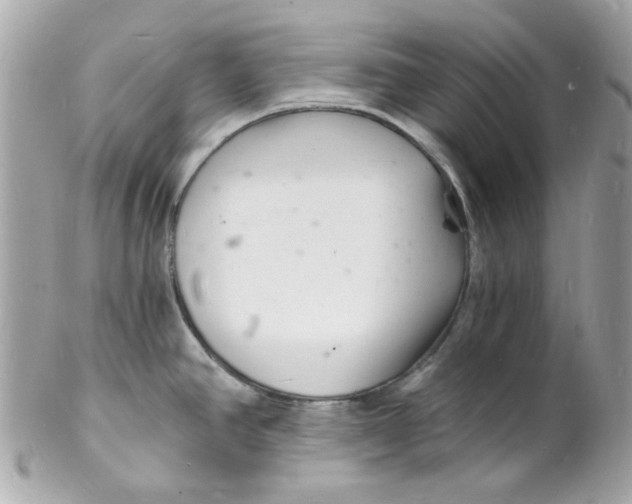 X0000102221390200808151654