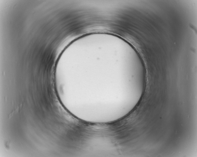 X0000102221392200808151654